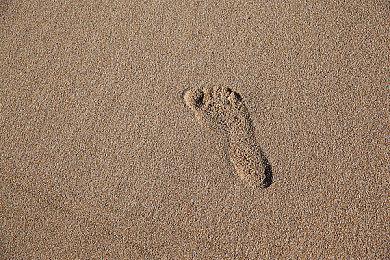 《勇者斗恶龙X 离线版》售前特别直播节目 将于9月11日播出